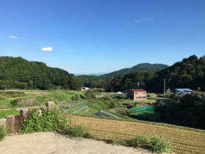 %e3%81%88%e3%82%93%e3%81%8c%e3%82%8f